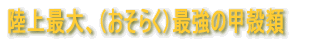 ����ő�A�i�����炭�j�ŋ��̍b�k�� 