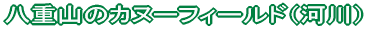 ���d�R�̃J�k�[�t�B�[���h�i�͐�j 
