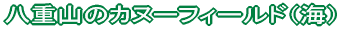 ���d�R�̃J�k�[�t�B�[���h�i�C�j 