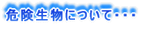 �K�v�ȑ����ɂ��āE�E�E