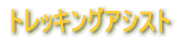 �g���b�L���O�A�V�X�g 