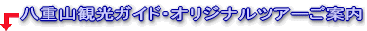 ���d�R�ό��K�C�h�E�I���W�i���c�A�[�̂��ē� 