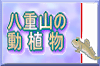 ���d�R�̓��A�������Љ�