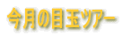 �����̖ڋʃc�A�[ 