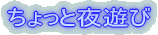 ちょっと夜遊び