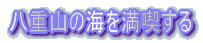 八重山の海を満喫する