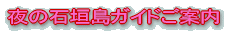 夜の石垣島ガイドご案内