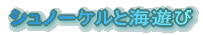シュノーケルと海遊び