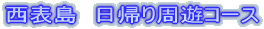 西表島 日帰り周遊コース