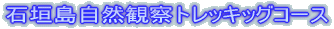 石垣島自然観察トレッキッグコース