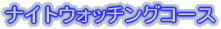 ナイトウォッチングコース