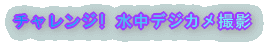 チャレンジ! 水中デジカメ撮影