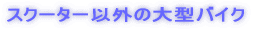 �X�N�[�^�[�ȊO�̑�^�o�C�N 