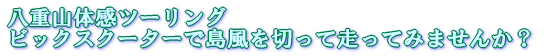 ビックスクーターで島風を切って石垣島を走りませんか