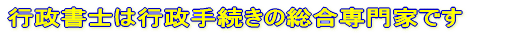 �������͍s���葱���̐��Ƃł� 